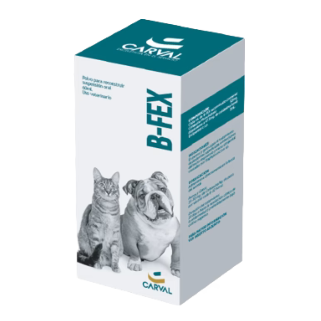 B-FEX SUSPENSIÓN ORAL X 60 ML
