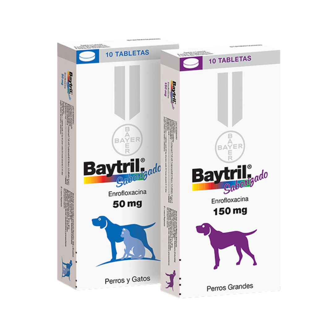BAYTRIL BLISTER X 10 UND