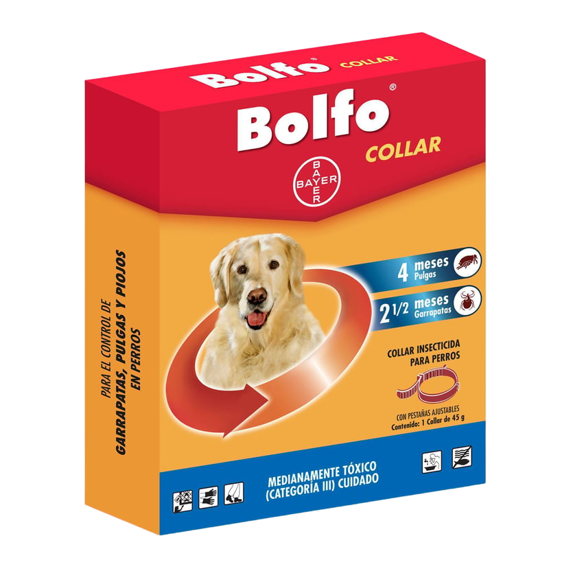 COLLAR BOLFO