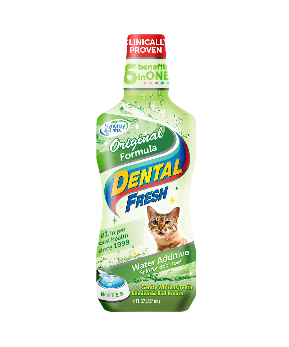 DENTAL FRESH CAT