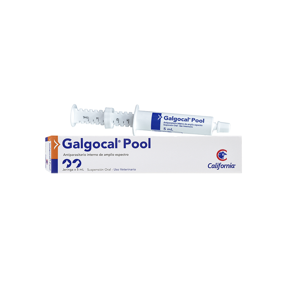 GALGOCAL POOL X 5ML