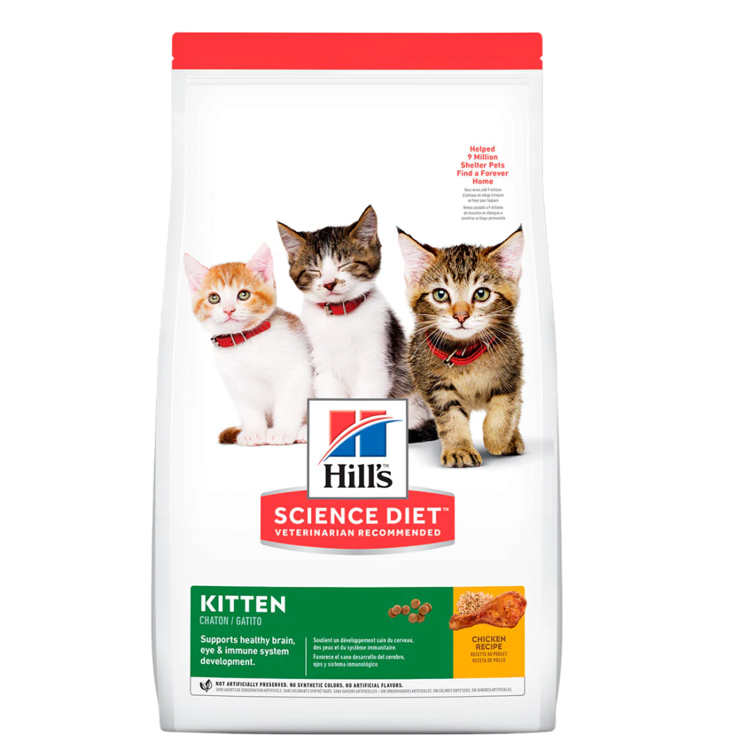 HILLS GATO KITTEN
