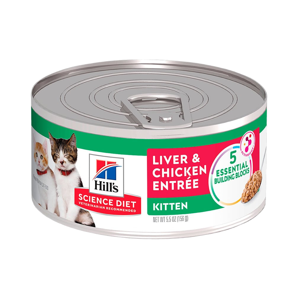 HILLS LATA GATO KITTEN