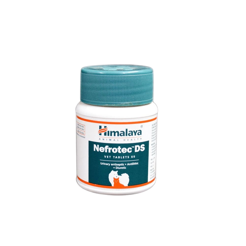 NEFROTEC DS X 60 UND