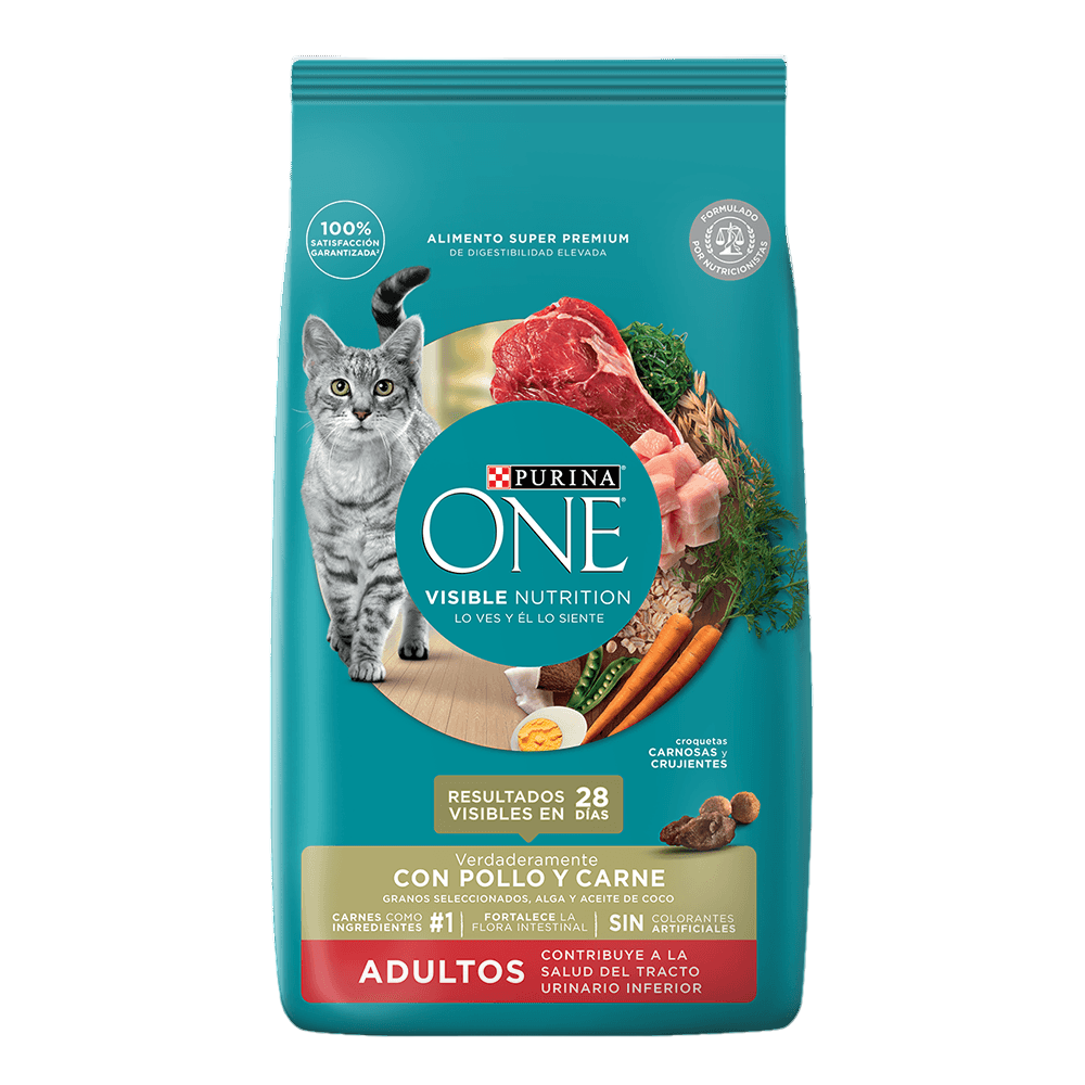 ONE GATITOS POLLO Y CARNE