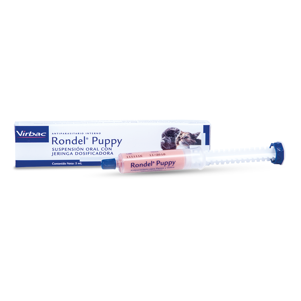 RONDEL PUPPY