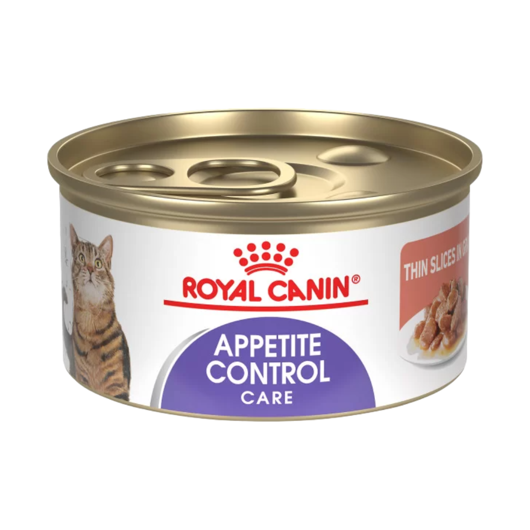 ROYAL CANIN LATA APPETITE GATO