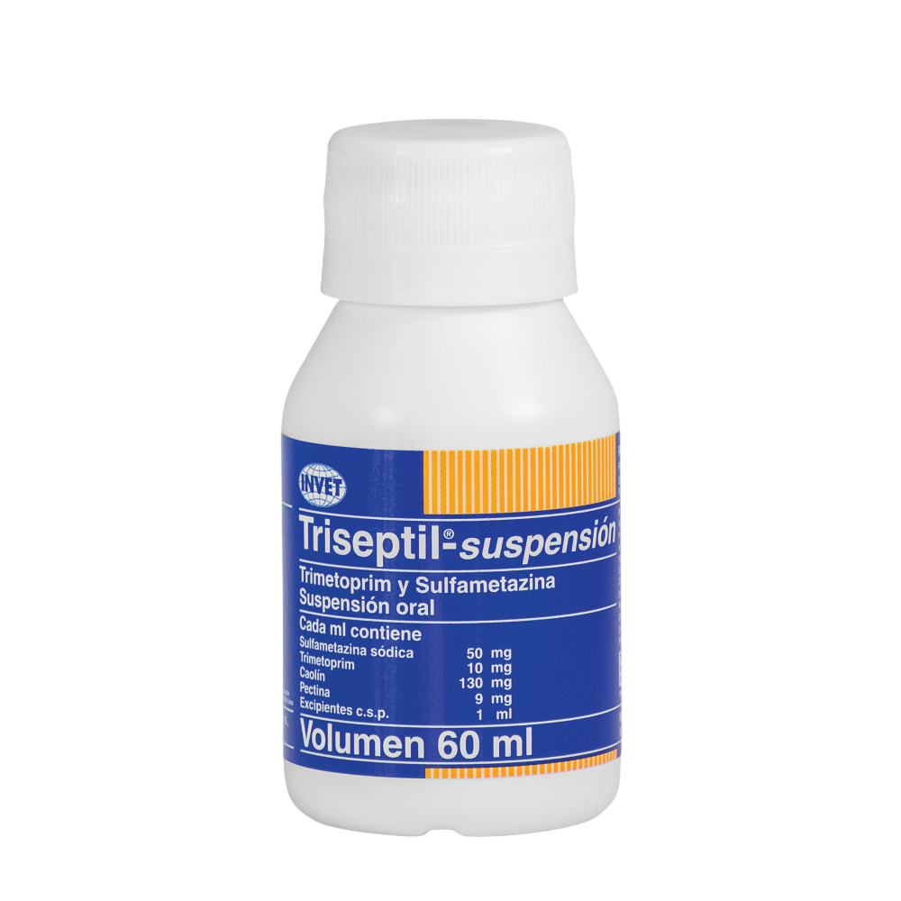 TRISEPTIL SUSPENSION ORAL X 60ML