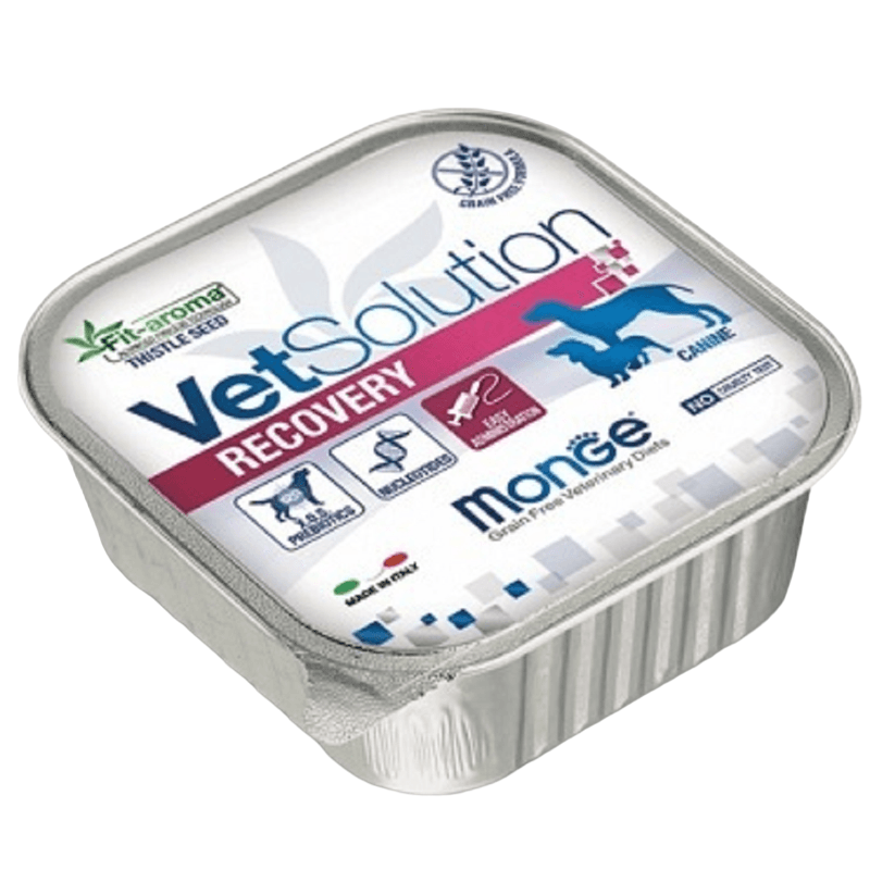 VET SOLUTION RECOVERY PERRO