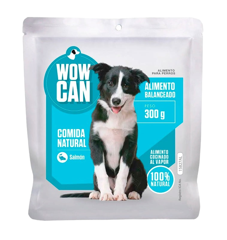 WOW CAN SALMON X 300 GR