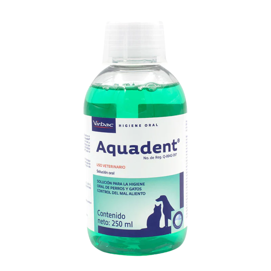 AQUADENT