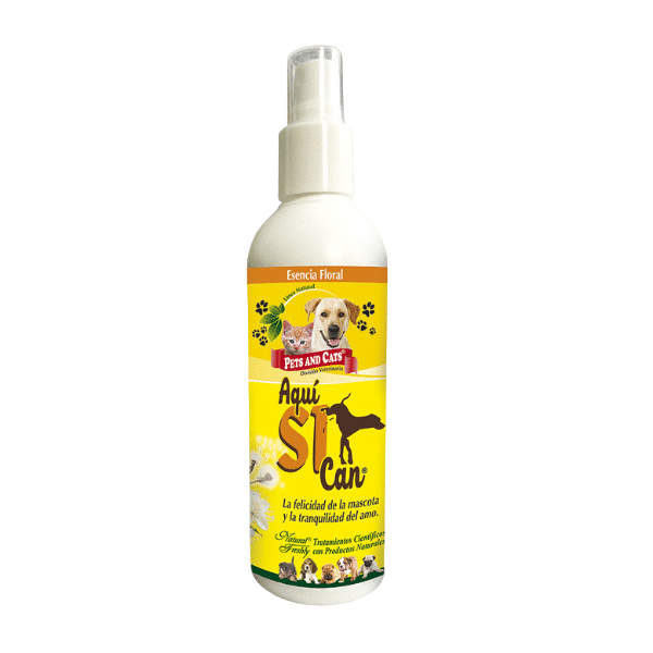 AQUÍ SI CAN SPRAY 240ML