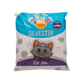 ARENA SILVESTER