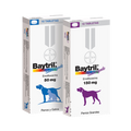 BAYTRIL BLISTER X 10 UND 