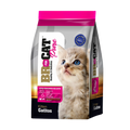 BR CAT GATITO