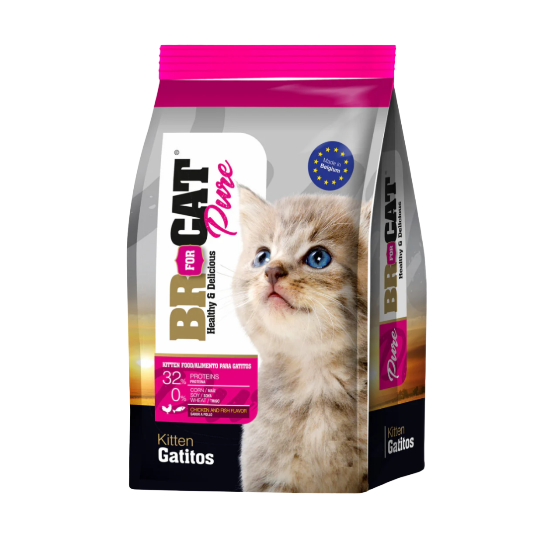 BR CAT GATITO