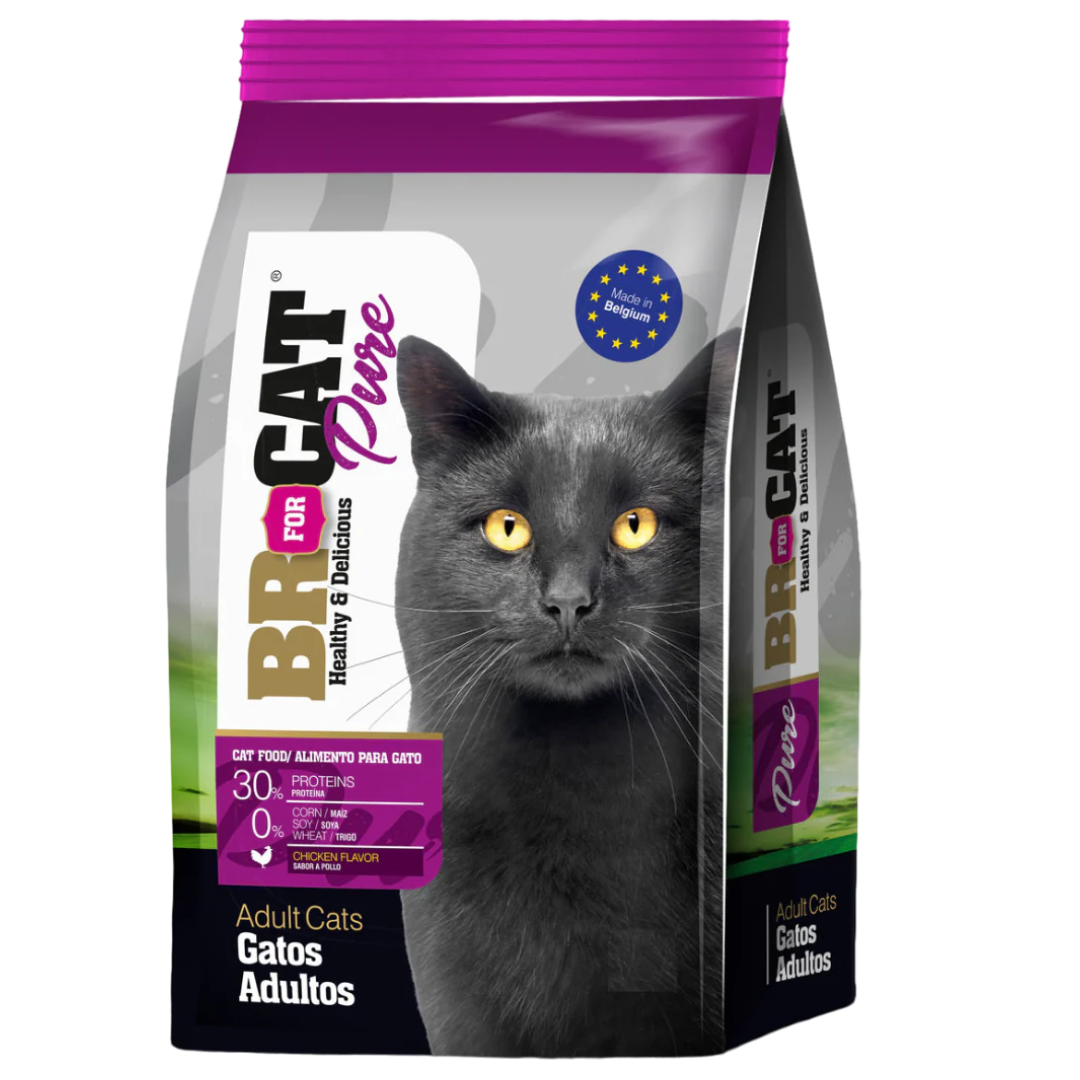 BR GATO ADULTO
