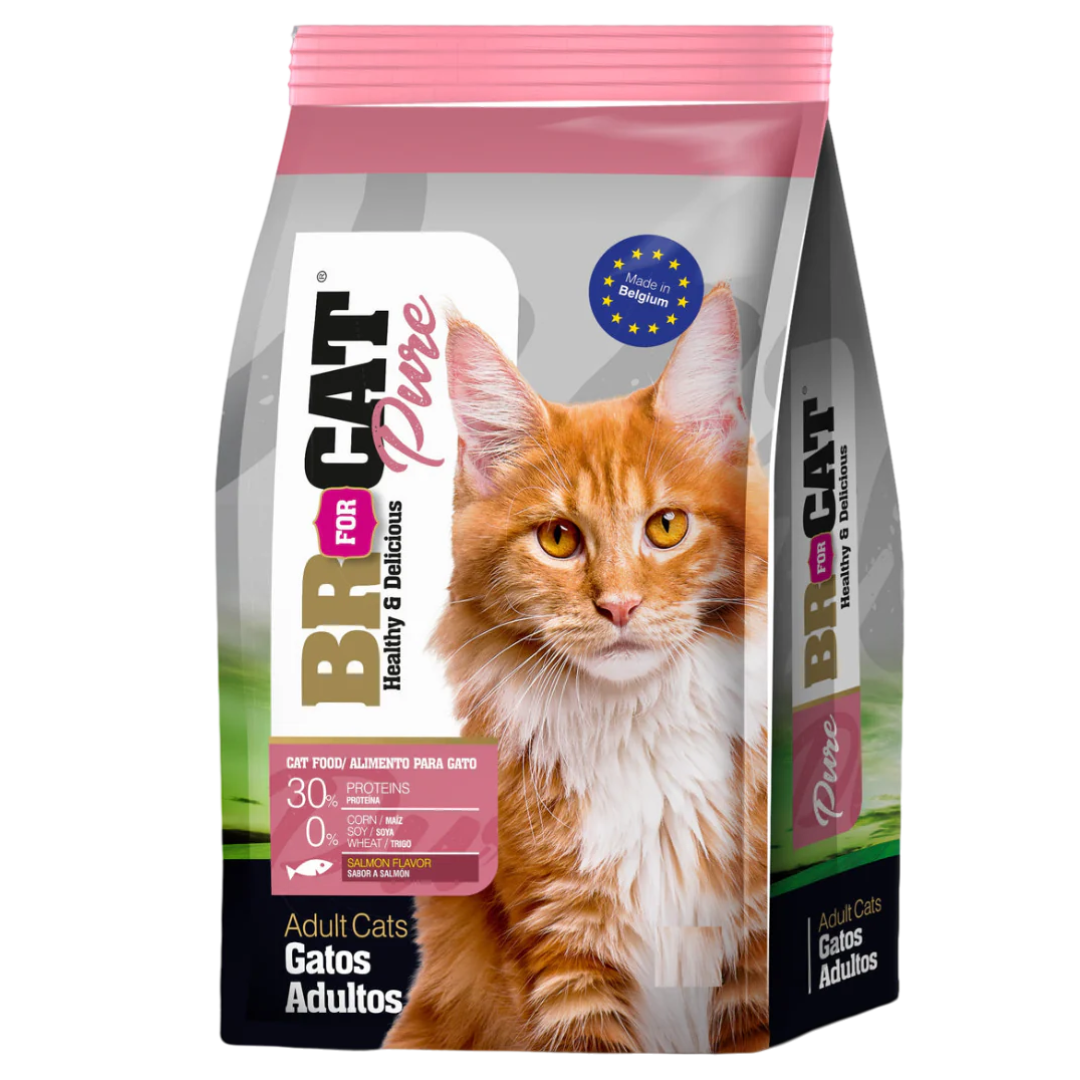 BR GATO SALMON X 1KG