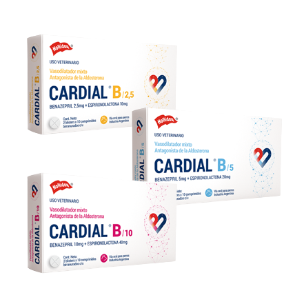 CARDIAL B X 20UND