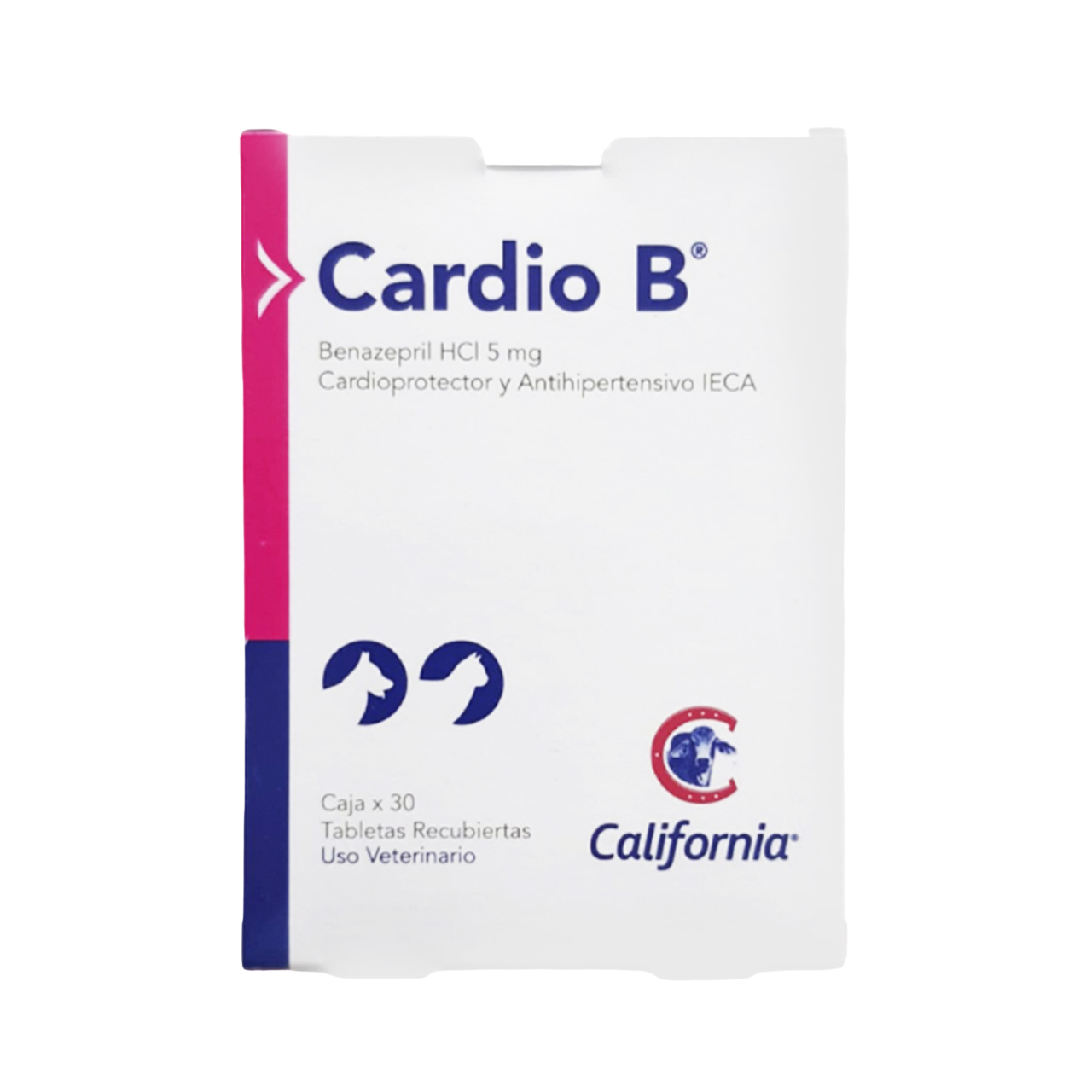 CARDIO B X 30UND