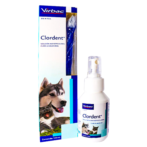 CLORDENT