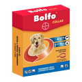 COLLAR BOLFO