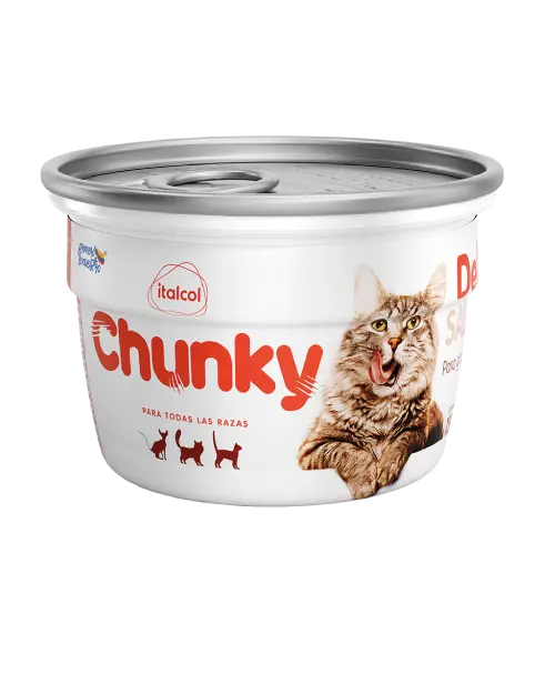 CHUNKY DELICAT POTE SALMON X 156 GR