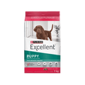 EXCELLENT PUPPY RAZA MEDIANA GRANDE
