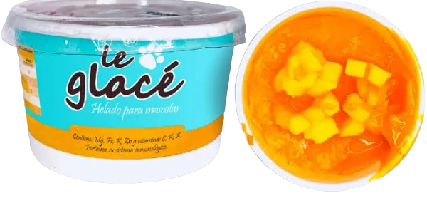 PALETA LE GLACE 90GR