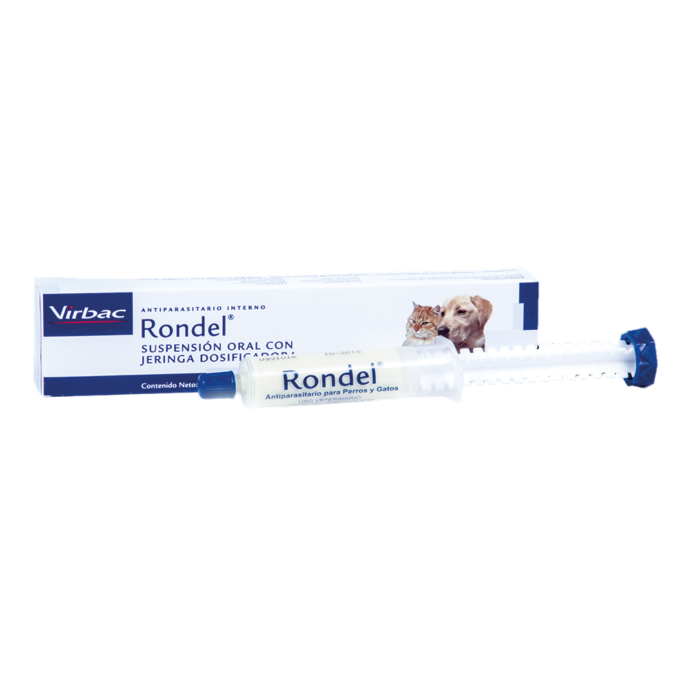 RONDEL
