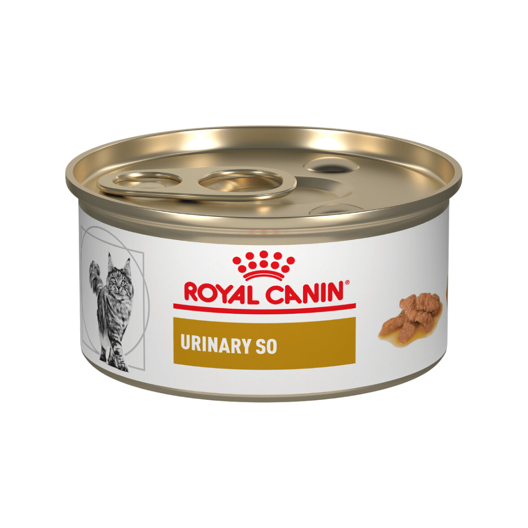 ROYAL CANIN LATA GATO URINARY SO